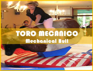 Toro Mecanico